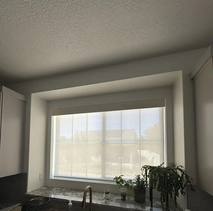 White roller shade above a kitchen sink with potted plants.